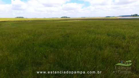 1015 HA no RS MARINETI.00_00_32_16.Quadro007_8e4340a9c60995cedfa8afe53edea51b11f5a652.png